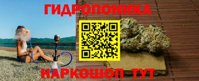 ГАЛЛЮЦИНОГЕННЫЕ ГРИБЫ Гусь-Хрустальный