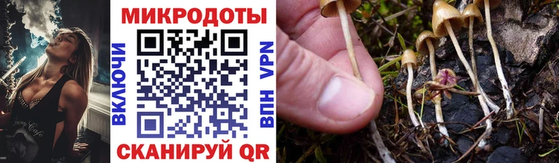 Псилоцибиновые грибы мицелий  Подольск 