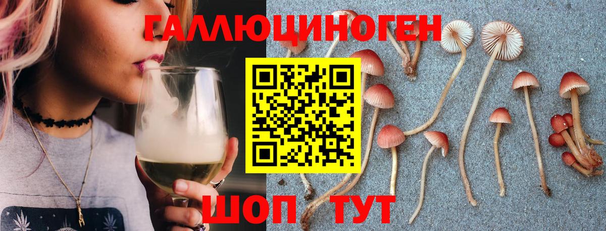 купить   Галлюциногенные грибы прущие грибы  Вход с VPN  Подольск  Псилоцибиновые грибы Psilocybe 